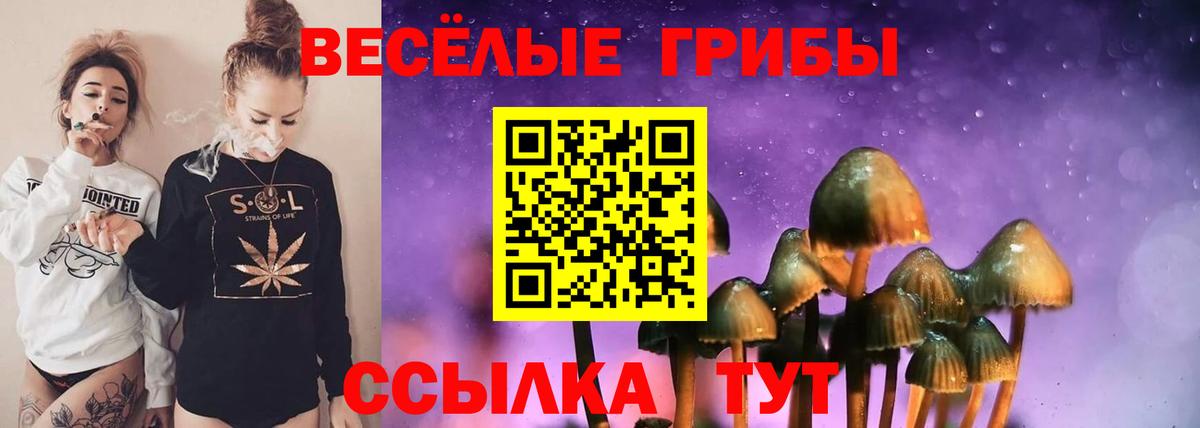 Псилоцибиновые грибы Cubensis  Вход с VPN  Минусинск 